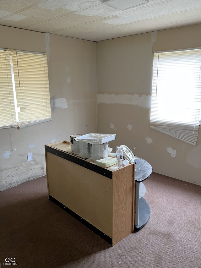 kitchen featuring carpet flooring