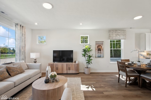 living room with dark hardwood / wood-style flooring and a wealth of natural light