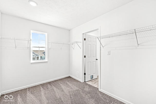 walk in closet featuring carpet flooring