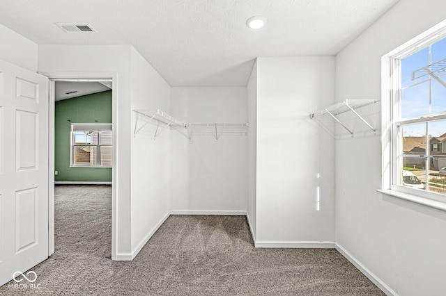 spacious closet featuring carpet and lofted ceiling