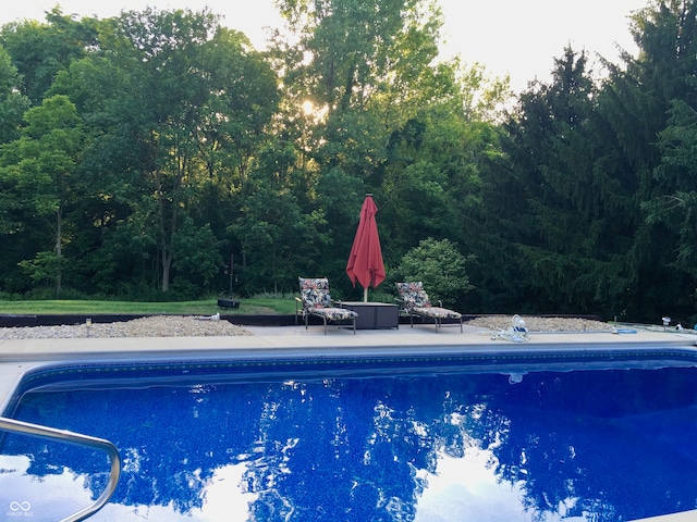 view of pool featuring a patio