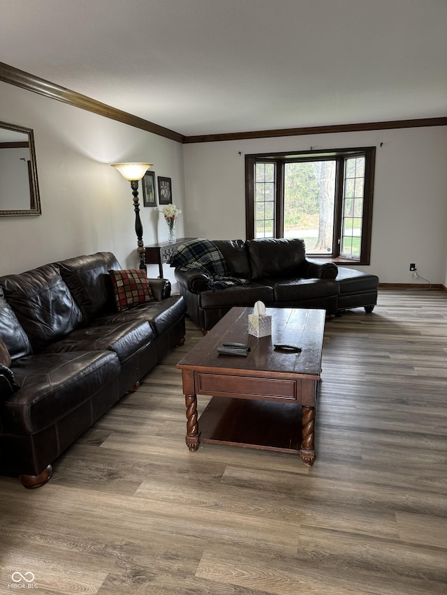 living room featuring hardwood / wood-style floors and ornamental molding