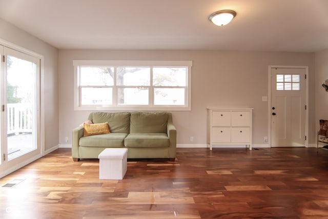 living room with wood-type flooring