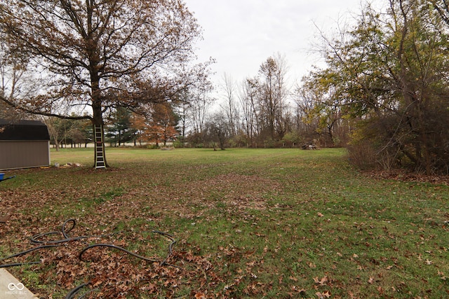 view of yard featuring a shed