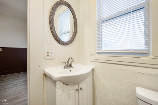 bathroom with vanity, wood-type flooring, and toilet