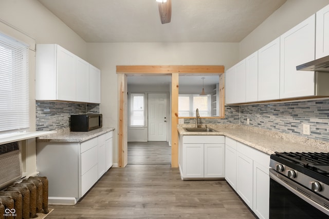 kitchen with white cabinets, tasteful backsplash, light hardwood / wood-style flooring, and sink