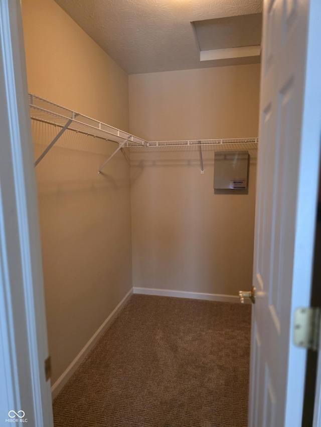 4835 Franklin Villas Dr, Indianapolis, IN 46237 - walk in closet with attic access and carpet floors