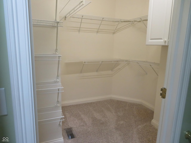 walk in closet featuring carpet flooring