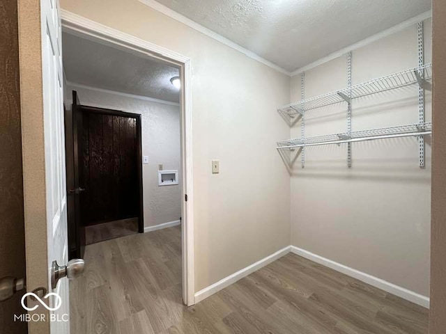 walk in closet featuring wood-type flooring