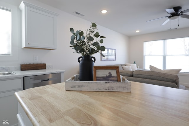 kitchen with white cabinetry, sink, stainless steel dishwasher, and ceiling fan