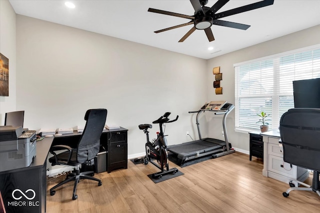 office featuring ceiling fan and light hardwood / wood-style flooring