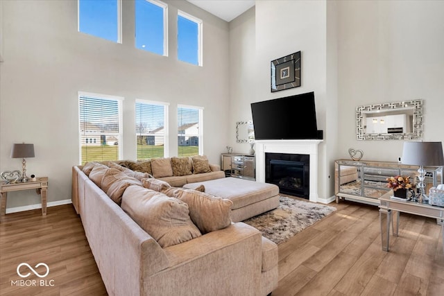 living room featuring wood-type flooring and a towering ceiling