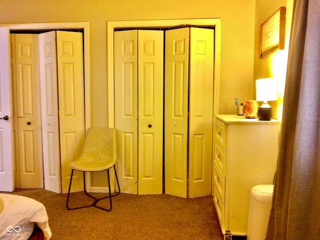 carpeted bedroom with two closets