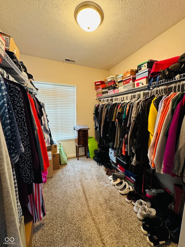 walk in closet featuring carpet floors