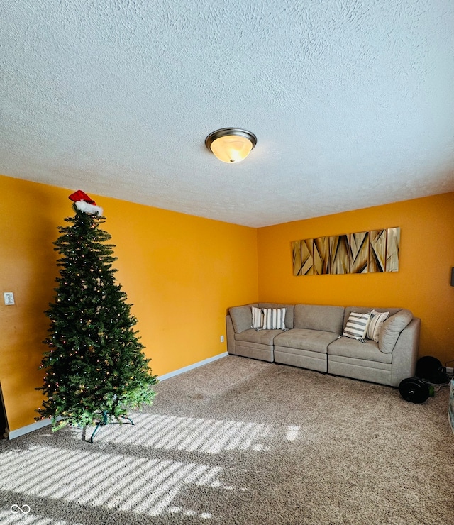 living room featuring a textured ceiling and carpet floors