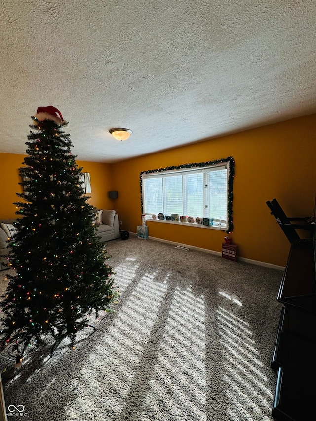 interior space with carpet and a textured ceiling