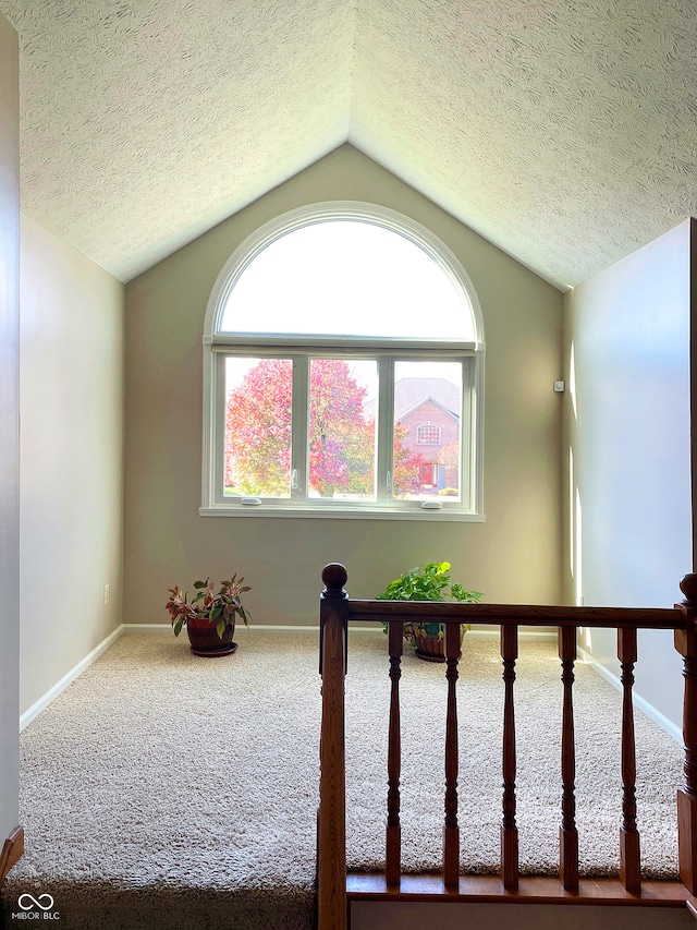 room details featuring carpet floors and a textured ceiling