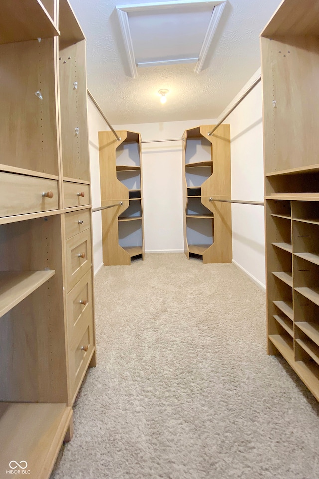 spacious closet featuring light colored carpet