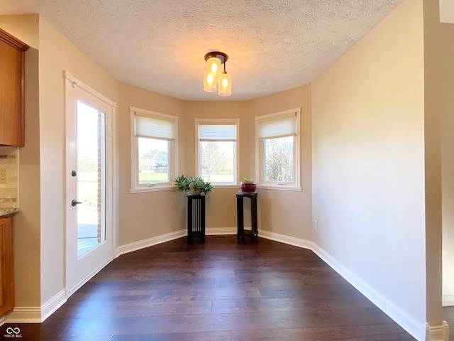 interior space featuring dark hardwood / wood-style flooring and a textured ceiling