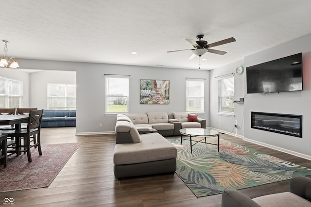 living room with a textured ceiling, hardwood / wood-style floors, and ceiling fan with notable chandelier