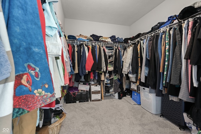 spacious closet featuring carpet floors