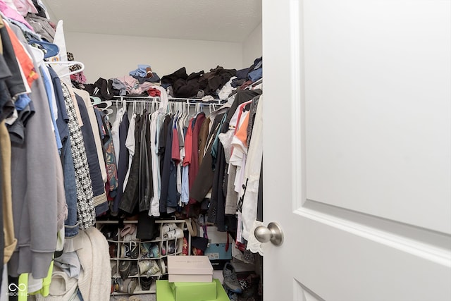 view of walk in closet