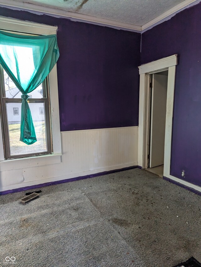 carpeted spare room with wood walls, a textured ceiling, and ornamental molding