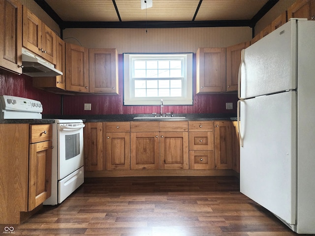 kitchen with dark hardwood / wood-style floors, white appliances, and sink