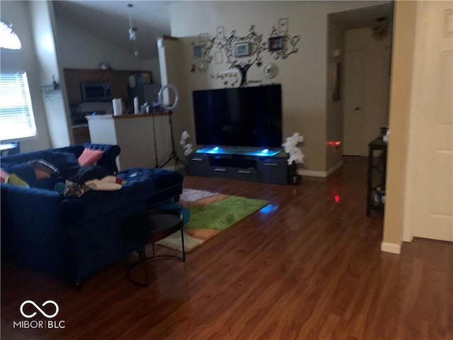 living room featuring dark wood-type flooring