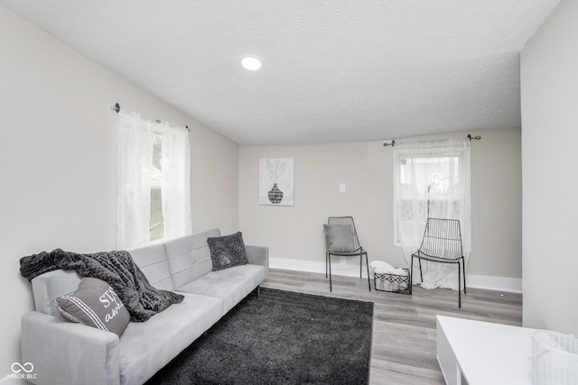 living room featuring a textured ceiling and light wood-type flooring