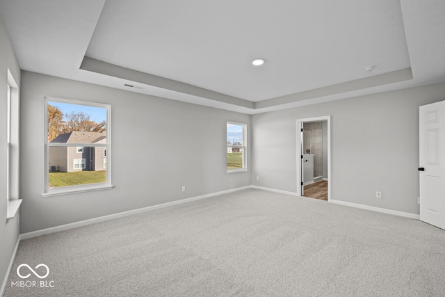 unfurnished bedroom featuring a tray ceiling, multiple windows, and carpet flooring