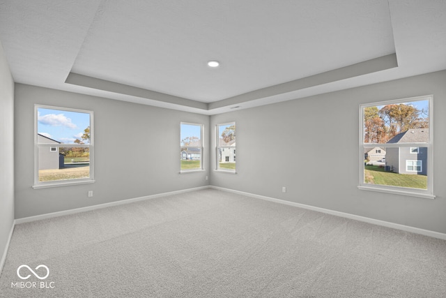 empty room with carpet flooring, a tray ceiling, and plenty of natural light