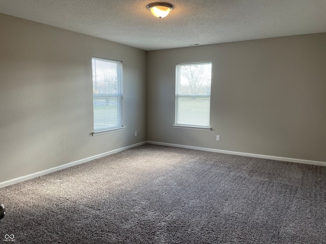 unfurnished room with carpet and a textured ceiling