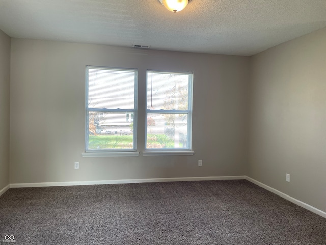 empty room featuring carpet, a textured ceiling, and a healthy amount of sunlight