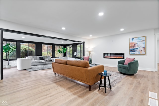 living room featuring light hardwood / wood-style floors