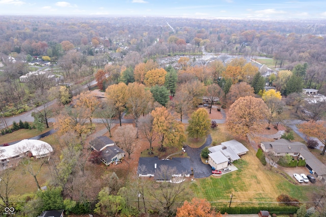 bird's eye view