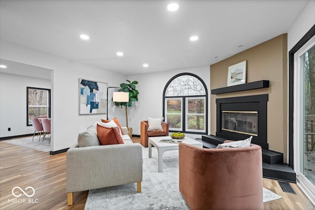 living room featuring light hardwood / wood-style floors