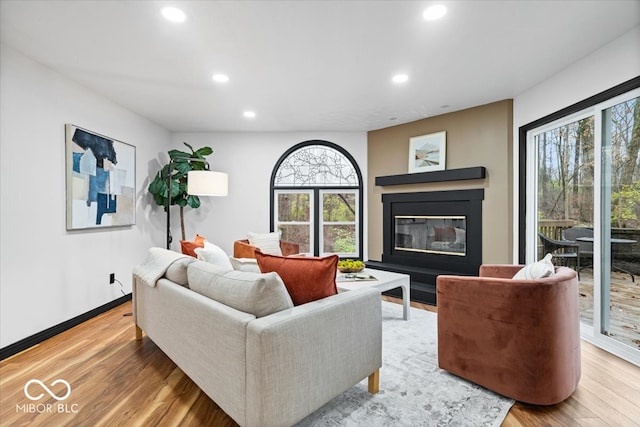 living room with hardwood / wood-style flooring