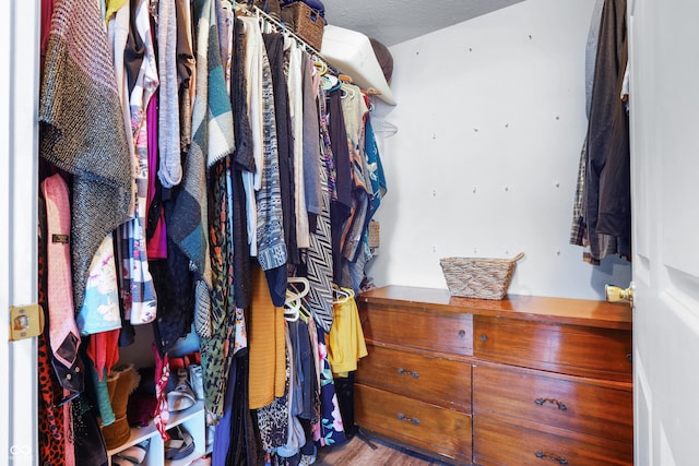 spacious closet with hardwood / wood-style flooring