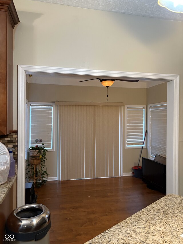 interior space with ceiling fan and dark hardwood / wood-style floors