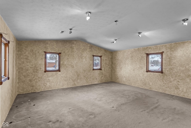 carpeted empty room featuring plenty of natural light and vaulted ceiling