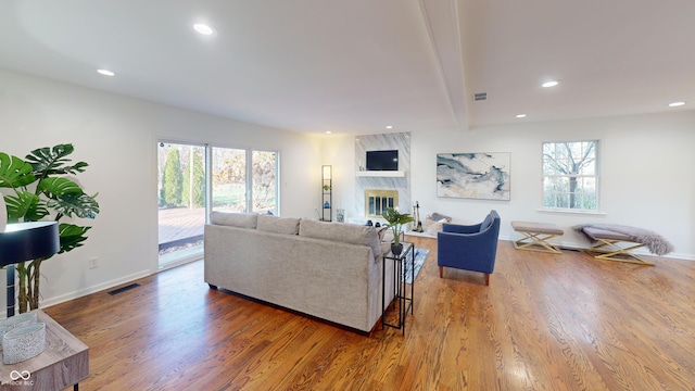 living room with hardwood / wood-style floors, a fireplace, and a wealth of natural light