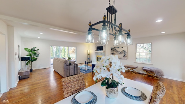 dining room featuring hardwood / wood-style floors and a healthy amount of sunlight