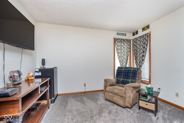 sitting room featuring carpet and a textured ceiling