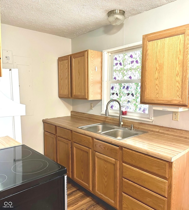 kitchen with a textured ceiling, electric stove, dark hardwood / wood-style floors, and sink