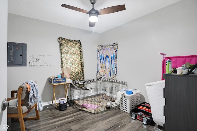 interior space with hardwood / wood-style floors, ceiling fan, and electric panel