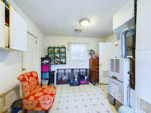 interior space featuring white cabinetry and ornamental molding