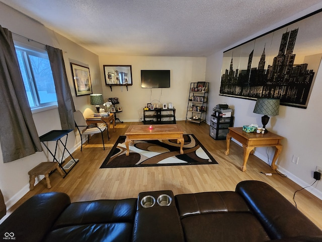 living room featuring wood-type flooring and a textured ceiling