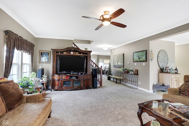 living room featuring ceiling fan, carpet floors, and crown molding