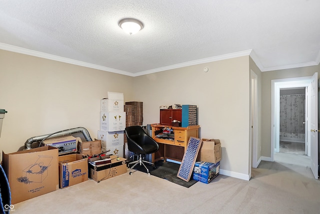 carpeted office with ornamental molding and a textured ceiling